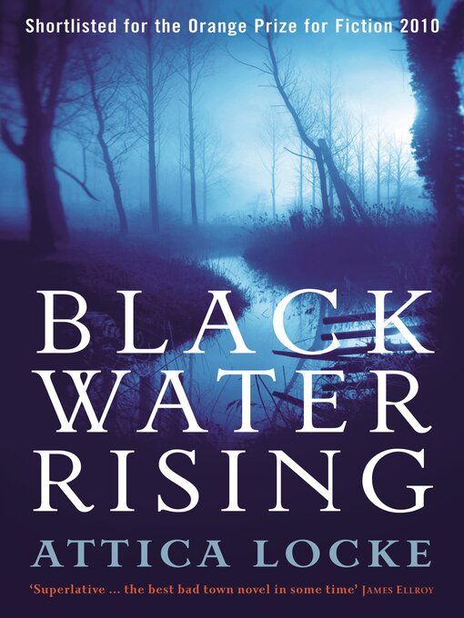 Cover image for Black Water Rising